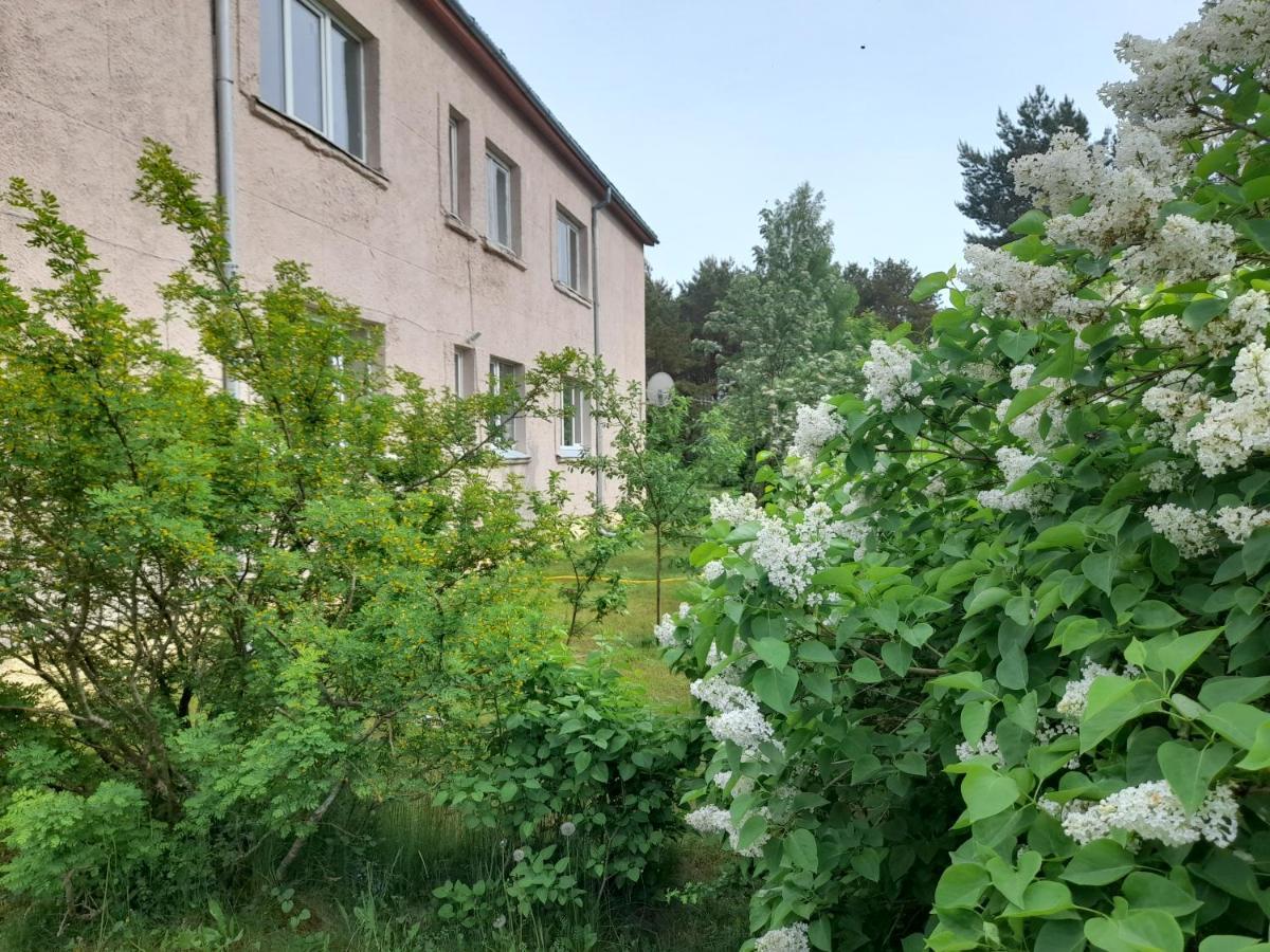 Quiet Summer Apartment Aucugals Экстерьер фото
